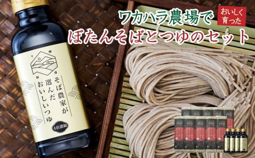 L-3503 ワカハラ農場でおいしく育ったぼたん蕎麦《細麺》10束(200g)×つゆ4本北海道新得町35000麺そば