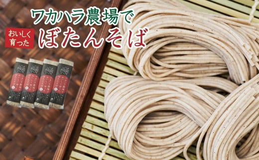 L-1014 ワカハラ農場でおいしく育ったぼたんそば《細麺》4束北海道新得町10000麺そば
