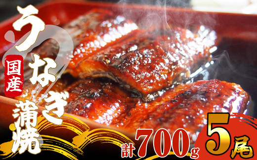 《 国産 》 ふっくら 肉厚 うなぎ蒲焼 5尾 700g SF065-1福岡県須恵町25000魚介・海産物うなぎ