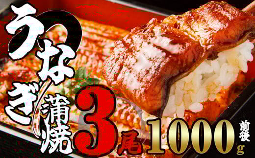 ふっくらジューシー 有頭 うなぎ蒲焼 3尾 合計1000g前後 SF012-2 〜 冷凍 鰻 特大 小分け ウナギ 蒲焼 蒲焼き 大人気 タレ スタミナ 夏バテ 5尾 1250g 小分け 魚貝 レンジ 訳あり 訳あり商品 湯煎 冬