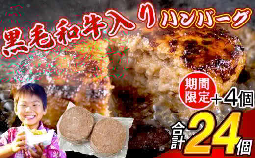 【特別ご案内】120g × 24個 合計 2800g以上 牛100% 黒毛和牛入り ハンバーグステーキ SF110-1 〜 期間限定 数量限定 4個 プラス 牛肉 国産牛 和牛 福岡県 肉 九州産 豪州産 人気 スパイス 香辛料 ハ