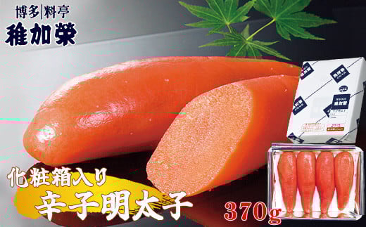 m  t n ϔ hqq 370g CN003-1{b22000ECYqȆ