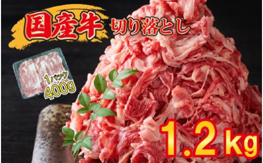 јa ؂藎Ƃ 1.2kg ( 400g × 3pbN ) zo`dグ SF067-2@`  ؂ ؂藎Ƃ Ă Ă 󂠂 Ԑg  Ⓚ lC  `{b10000