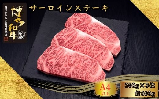 A5,4 aT[CXe[L 200g×3 v600g [HS009-1] vcXy{bz{b30000