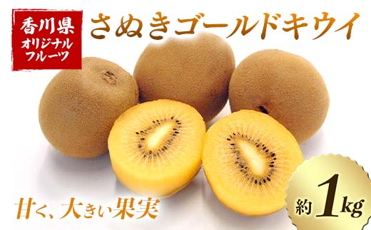 ys\2025N10`2025N12͂z ʂS[hLEC (1kg) t[c ʕ  S[h LEC LECt[c ʂ S[hLEC fU[g Hi Y l 1~ F5J-8