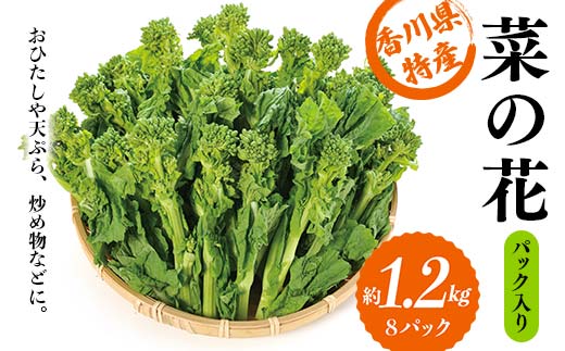 【先行予約2025年12月〜2026年3月頃お届け】 菜の花 パック入り 約1.2kg (8パック) なの花 菜の花 おひたし 天ぷら 炒め物 春 野菜 食品 名産 四国 F5J-924香川県琴平町12000野菜・きのこその他 野菜