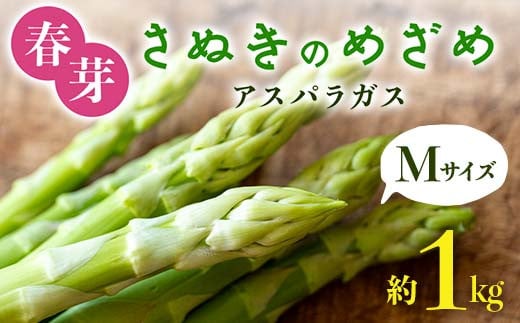 【先行予約2026年2月中旬〜2026年6月下旬頃お届け】春芽 さぬきのめざめアスパラガス Mサイズ 約1kg F5J-766香川県琴平町11000野菜・きのこその他 野菜