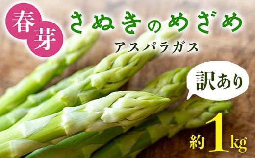 【先行予約2026年2月中旬〜2026年6月下旬頃お届け】【訳あり】春芽 さぬきのめざめアスパラガス 約1kg 1万円 F5J-767香川県琴平町10000野菜・きのこその他 野菜