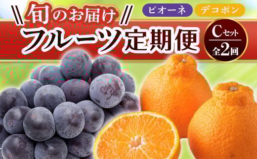 yt[c 2z sfR|X^[gt CZbg sI[l 1.2kg fR| 5kg Ԃǂ ݂ k { ʕ Y 쌧 t[c F5J-781쌧Օ38000ʕEt[c