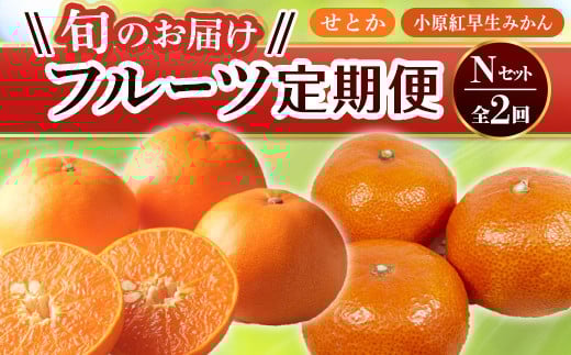 【フルーツ定期便 2回】 《小原紅早生みかんからスタート》 Nセット 小原紅早生みかん 約4.5kg せとか 約5kg みかん 柑橘 旬 果物 国産 香川県 フルーツ定期便 F5J-792香川県琴平町51500果物・フ
