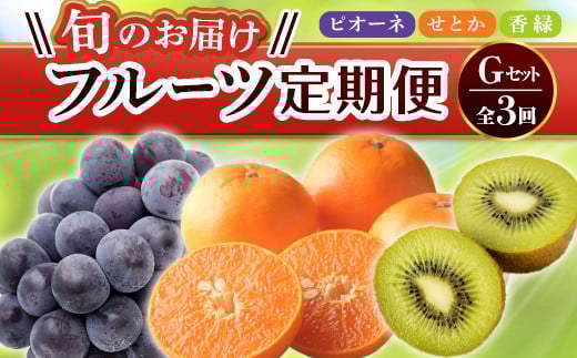 yt[c 3z s΂X^[gt GZbg sI[l 1.2kg  3kg Ƃ 5kg Ԃǂ LEC LECt[c ݂ k { ʕ Y 쌧 t[c F5J-799쌧