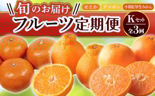 【フルーツ定期便 3回】 《小原紅早生みかんからスタート》 Kセット小原紅早生みかん 約4.5kg せとか 約5kg デコポン 約5kg みかん 柑橘 旬 果物 国産 香川県 フルーツ定期便 F5J-803香川県琴平町