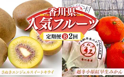 【人気フルーツ定期便B 2回】 《さぬきエンジェルSキウイからスタート》 さぬきエンジェルSキウイ 約1kg 越冬小原紅早生 約1kg キウイ キウイフルーツ  みかん 柑橘 旬 果物 国産 香川県 フ