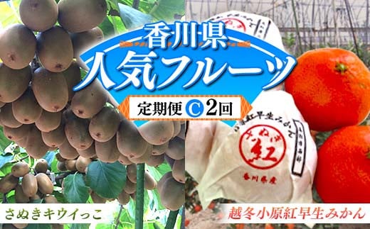 【人気フルーツ定期便C 2回】 《さぬきキウイっこからスタート》 さぬきキウイっこ 約1kg 越冬小原紅早生 約1kg キウイ キウイフルーツ  みかん 柑橘 旬 果物 国産 香川県 フルーツ定期便 F5J-9