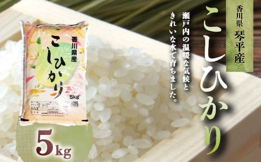 令和7年度産 新米 香川県琴平産コシヒカリ 5kg 《入金後2週間以内に発送》 銘柄米 ブランド米 国産 こしひかり コシヒカリ 米 精米 お米 ライス ギフト 贈り物 四国 F5J-1075香川県琴平町17500米
