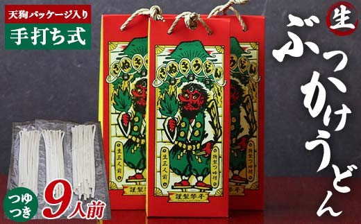 天狗パッケージ入り 【ぶっかけうどん9人前】 うどん 麺 麺類 加工品 食品 F5J-969香川県琴平町10000麺うどん