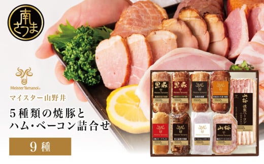 【マイスター山野井】5種類の焼豚とハム・ベーコン詰め合わせ(9種) チャーシュー ハム 焼き豚 ロースハム 合鴨 みそ漬け ハムギフト グルメ 惣菜 おかず ギフトセット 詰合せ アソート