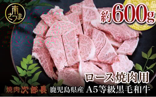 yYzјaX ēY A5 ēp [X 600g   BBQ ē 삳܎s 蕨 Mtg 삳܎s33000