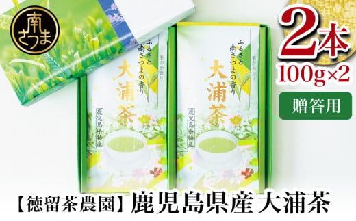 ypzYΒ Y Ԓ2{Zbgi100g×2j Y   { Β t 삳܎s _삳܎s11000E