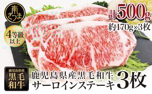 【鹿児島県産】黒毛和牛 サーロインステーキ 約500g (約170g×3枚) 牛肉 A4等級 ステーキ BBQ ギフト 贈答 冷凍 スターゼン 南さつま市鹿児島県南さつま市21000肉牛肉