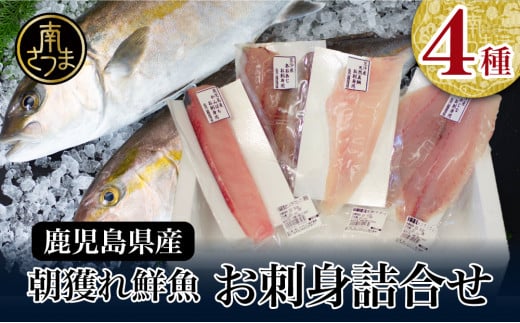 ◆お届け月が選べる◆【漁師厳選】朝獲れ鮮魚のお刺身詰め合わせ(4種) 魚 冷蔵 刺身 鮮魚 ヤマチョウ 鹿児島県産 海鮮 直送 セット 詰め合わせ ヤマチョウ 南さつま市鹿児島県南さつま