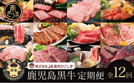【JA食肉かごしま】鹿児島黒牛 定期便(全12回) かごしまブランド 黒毛和牛 和牛 牛肉 お肉 霜降り 赤身 ステーキ 焼肉 焼き肉 バーベキュー BBQ すき焼き しゃぶしゃぶ 食べ比べ 定期便 JA食