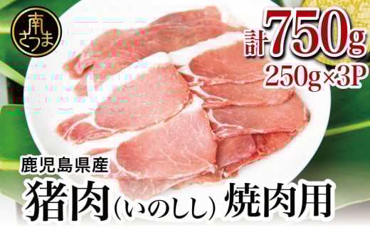 y삳܃WrGz삳܎Y îj@ēp 750gi250g×3Pj Ⓚ O WrG WrG CmVV ē ēZbg삳܎s11000WrG