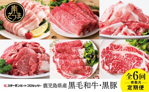 【スターゼン厳選定期便】鹿児島県産 黒毛和牛・黒豚定期便 (全6回) サーロイン ステーキ 切り落とし しゃぶしゃぶ 焼肉 すき焼き ローススライス 定期便 冷凍 スターゼン 南さつま市鹿