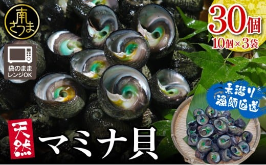 【素潜り漁師直送】【袋に入った冷凍のままでレンジ対応】【南さつま市 笠沙産 天然マミナ貝】 シッタカ クボガイ 海産物 魚介類 鹿児島県 南さつま市 隆康産業鹿児島県南さつま市11000魚