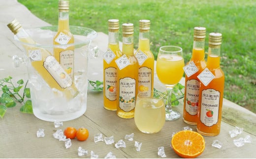 t[cVbv 300ml×7{Zbg k ʕ t[c W[X t[c\[X  䂸  É ؏ʎ삳܎s22000Eʏ`E؈