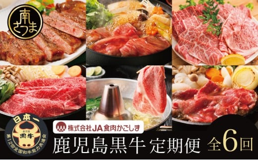 【JA食肉かごしま】鹿児島黒牛 定期便(全6回) かごしまブランド 黒毛和牛 和牛 牛肉 お肉 霜降り 赤身 ステーキ 焼肉 焼き肉 バーベキュー BBQ すき焼き しゃぶしゃぶ 食べ比べ 定期便 JA食