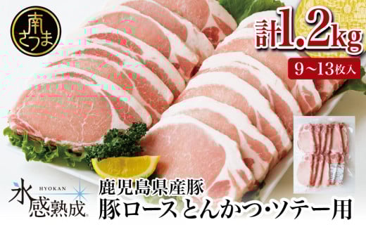 【氷感熟成豚】★数量限定★ 鹿児島県産 豚ロース とんかつ・ソテー用 計1.2kg 肉 お肉 焼肉 炒め物 とんかつ ステーキ ソテー 照焼き おかず 惣菜 お弁当 豚肉 かごしま スライス グルメ 冷