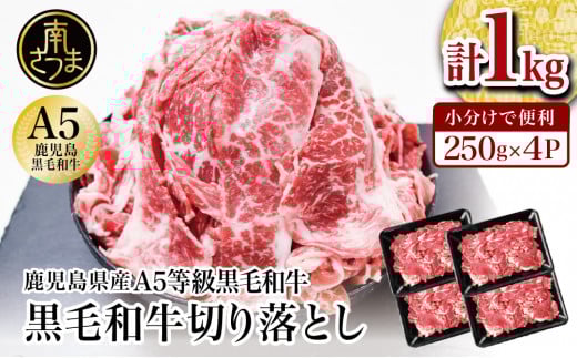yYzA5јaؗ v1kgi250g×4Pj Y  Y  J[  Ⴊ J~`N ؂藎Ƃ pbN Ⓚ삳܎s13000