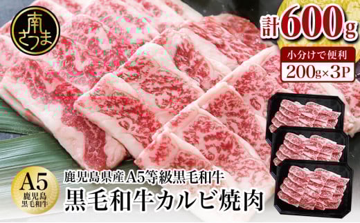 yYzA5јa Jrē v600gi200g×3Pj Y  Y Ă J~`N BBQ o[xL[ AEghA o  v[g pbN Ⓚ삳܎s13000