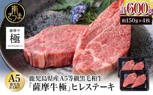 鹿児島県産黒毛和牛「薩摩牛 極」ヒレステーキ 4枚 計600g 1枚約150g 国産牛 牛肉 A5 赤身 希少部位 プレミアム グルメ プレート 焼肉 バーベキュー BBQ アウトドア レア フィレ ブランド牛 お祝