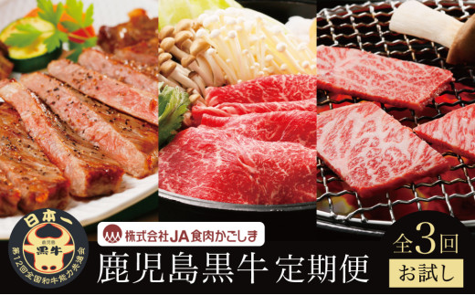 【JA食肉かごしま】鹿児島黒牛 お試し定期便(全3回) 和牛日本一の「鹿児島黒牛」お肉 ステーキ すき焼き しゃぶしゃぶ 黒毛和牛 牛肉 冷凍 定期便 南さつま市鹿児島県南さつま市65000肉牛