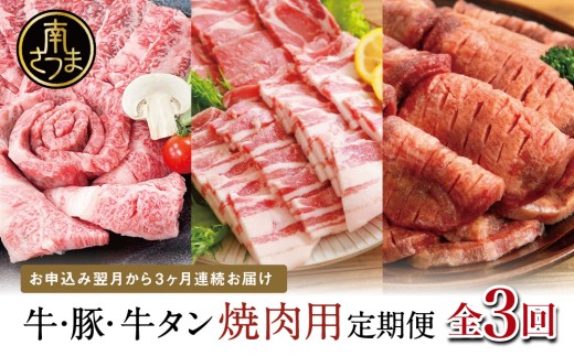 【厳選焼肉定期便】黒毛和牛・ブランド豚・牛タン 全3回コース 牛肉 焼肉 焼き肉 BBQ バーベキュー 豚肉 バラ ロース 牛タン お肉 小分け 冷凍 定期配送 カミチク スターゼン JA食肉かごしま