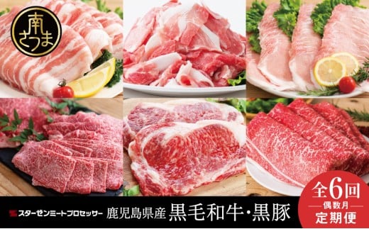 【定期便 全6回】スターゼン厳選お肉の定期便(鹿児島県産黒毛和牛・黒豚) 牛肉 豚肉 サーロイン ステーキ 切り落とし しゃぶしゃぶ 焼肉 すき焼き もも モモ バラ ロース スライス 小分