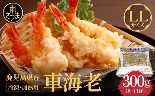 【鹿児島県産】冷凍 車海老 LLサイズ 300g (加熱用) 車エビ 車えび くるまえび 海老 エビ えび 海の幸 海鮮 九州 国産 魚介 魚介類 真空パック 天ぷら エビフライ エビチリ 冷凍 南さつま市