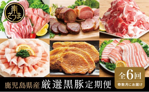 yցz{Y̌IؒցiS6j  Y Y ؓ Ԃ Ƃ񂩂 ē Ă ؂藎Ƃ ē `[V[ [Xg|[N Zbg Hה R