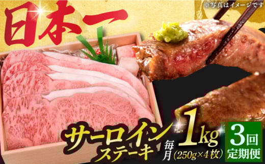 y3ցz a A5N I T[CXe[L 4 v1kg sl꒬ty OGAWAz [DBJ015]  a јa T[C Xe[L A5 ґ 3 3 ֒茧l