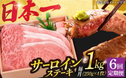 y6ցz a A5N I T[CXe[L 4 v1kg sl꒬ty OGAWAz [DBJ016]  a јa T[C Xe[L A5 ґ  6 6 ֒茧l