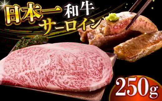 yA4`A5zaT[CXe[L@250gi250g×1jy MEAT PLUSz [DBS013]a a Y   a T[C Xe[L 250g 1~ ȏ㒷茧l꒬11000