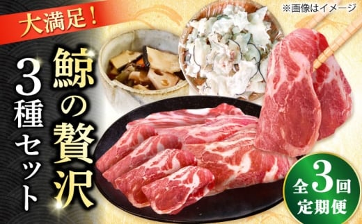 y3ցz@II3~/ ςߌ~120g×5pbN tpؓXCXijF400i200g×2pbNj䂩~ijF100g×3pbN l꒬ /i~jX [DBM018]茧l
