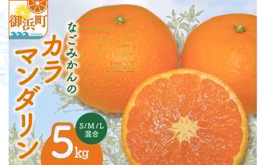 【2026年発送 先行予約品】なごみかんのカラマンダリン5キロ【数量限定 配送3月下旬から 果物 フルーツ みかん カラマンダリン デザート 5kg 三重県 御浜町】三重県御浜町10000果物・フルーツ