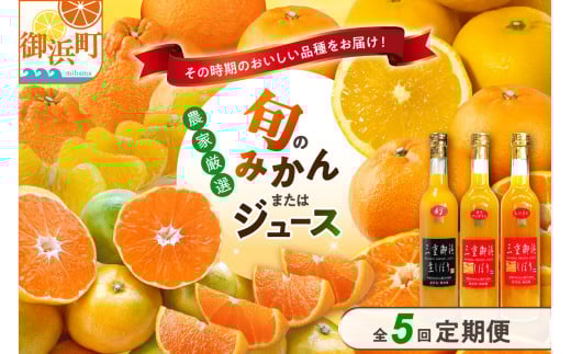 御浜柑橘の旬みかん又はジュースを毎月発送(全5回)【果物 フルーツ みかん 定期便 定期 5回 オレンジ オレンジジュース みかんジュース 光センサー 三重県 御浜町】三重県御浜町67000果物・