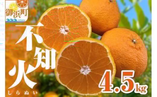 【2026年発送 先行予約品】濃密な甘酸っぱさ!ミカファームの不知火4.5キロ【数量限定 果物 フルーツ みかん 不知火 しらぬい デザート 4.5kg 三重県 御浜町】三重県御浜町10000果物・フルーツ