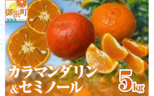 y2026N s\iz~Jt@[̃J}_Z~m[5Lyʌ ʕ t[c ݂ J}_ Z~m[ fU[g 5kg Zbg lߍ킹 Od lzO