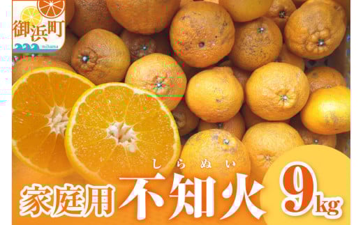 【2026年発送 先行予約品】濃密な甘酸っぱさ!ミカファームの不知火9キロ(家庭用) 【数量限定 果物 フルーツ みかん 不知火 しらぬい デザート 9kg 家庭用 三重県 御浜町】三重県御浜町16000果