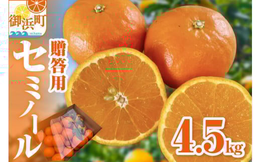 【2026年発送 先行予約品】ジューシーさダントツ!ミカファームのセミノール4.5キロ(贈答用)【数量限定 果物 フルーツ みかん セミノール デザート 4.5kg 贈答用 贈り物 三重県 御浜町】三重